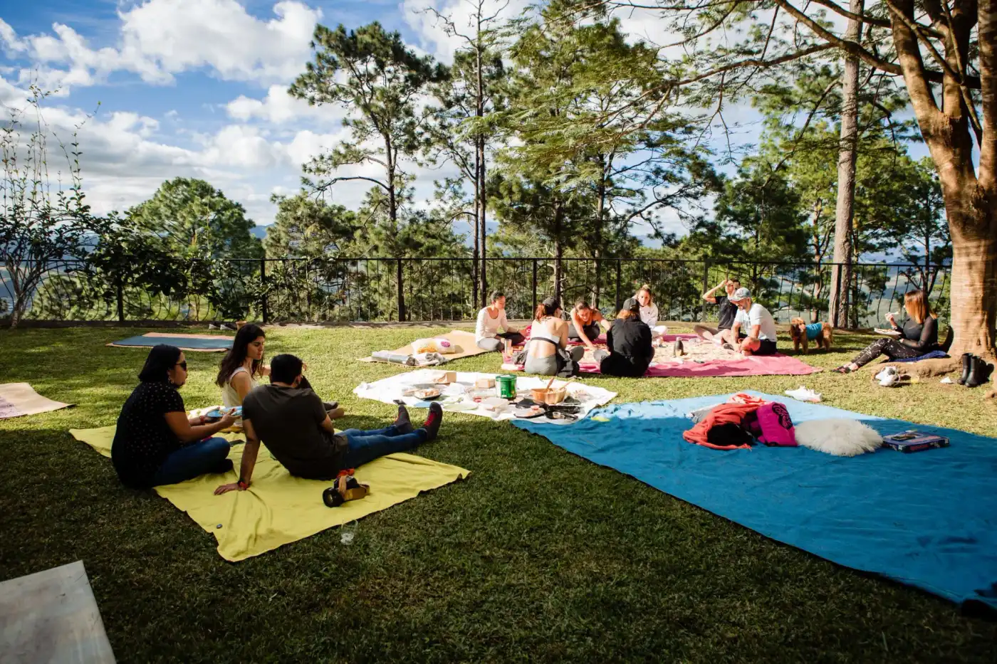Picnic de la comunidad sobre mantas de colores bajo los árboles